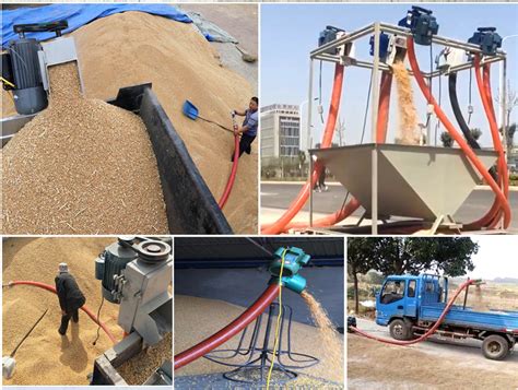 Application Of Wheat Grain Suction Machine Dahan Conveyor Manufacturer