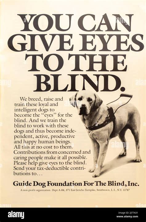 Guide Dog Foundation For The Blind Advertisement Placed In A Natgeo