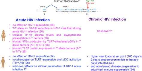 Frontiers Sex Differences In Primary HIV Infection Revisiting The