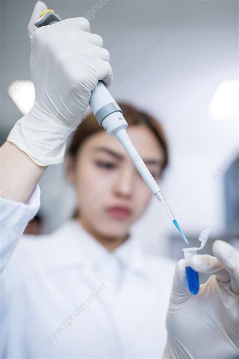 Female Lab Assistant Using Pipette Stock Image F020 3273 Science