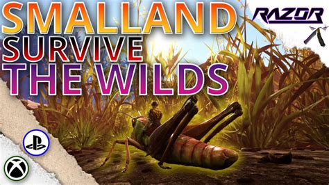 Day One Survival Smalland Survive The Wilds Gameplay V1 0 Xbox PS4