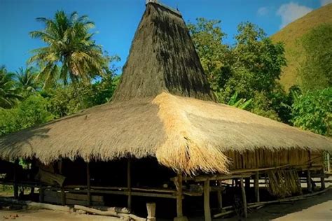 5 Jenis Rumah Adat Ntt Yang Kaya Akan Budaya Mawatu