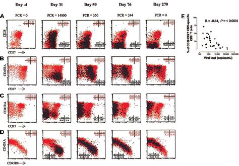 Differentiation Of Cmv Speci Fi C And Total Cd T Cells In