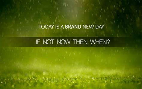 Today Is A New Day Quotes Quotesgram