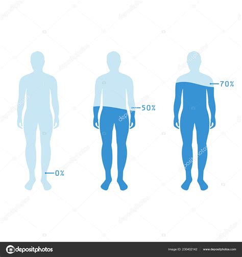 Sintético 91 Foto Cuanto Por Ciento De Agua Tiene El Cuerpo Humano