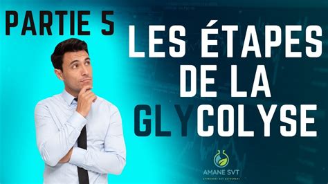 Glycolyse Partie Youtube