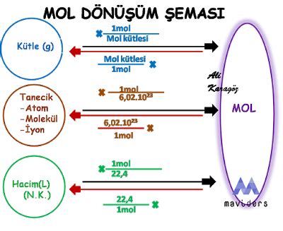 Mavi ders ALİ KARAGÖZ School study tips Study notes Book study