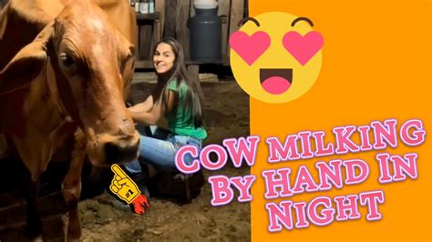 Cow Milking By Hend In Night Milking Cows Village Life Youtube