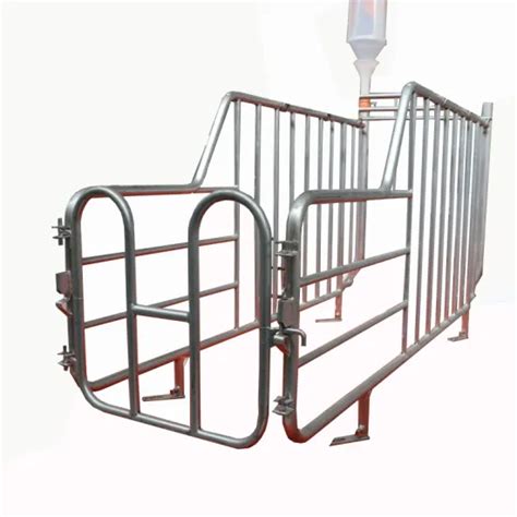 Juxin Hot Selling Galvanized For Sow Gestation Crate Stall Or Gestation