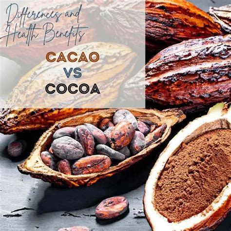 Cacao Vs Cocoa Unraveling The Differences And Powerful Health