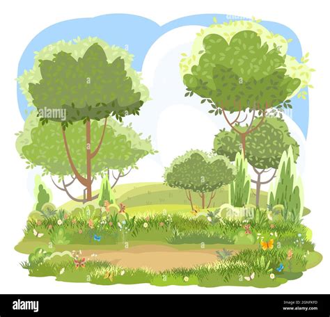 Vegetaci N De La Selva Im Genes Vectoriales De Stock Alamy