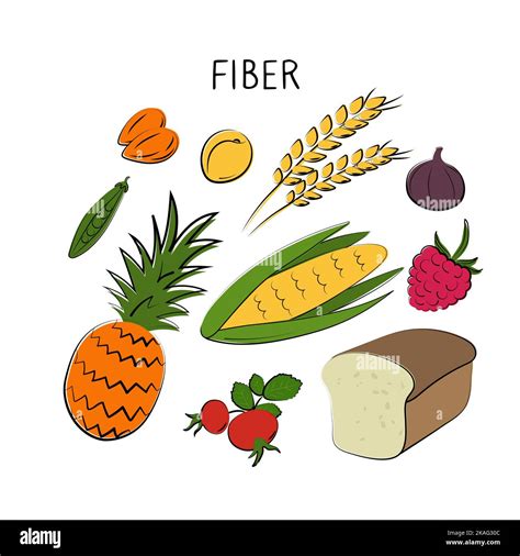 Fiber Containing Food Groups Of Healthy Products Containing Vitamins