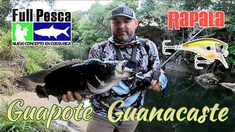 Pesca De Guapote Y Machaca En R O Tempisque De Guanacaste Costa Rica