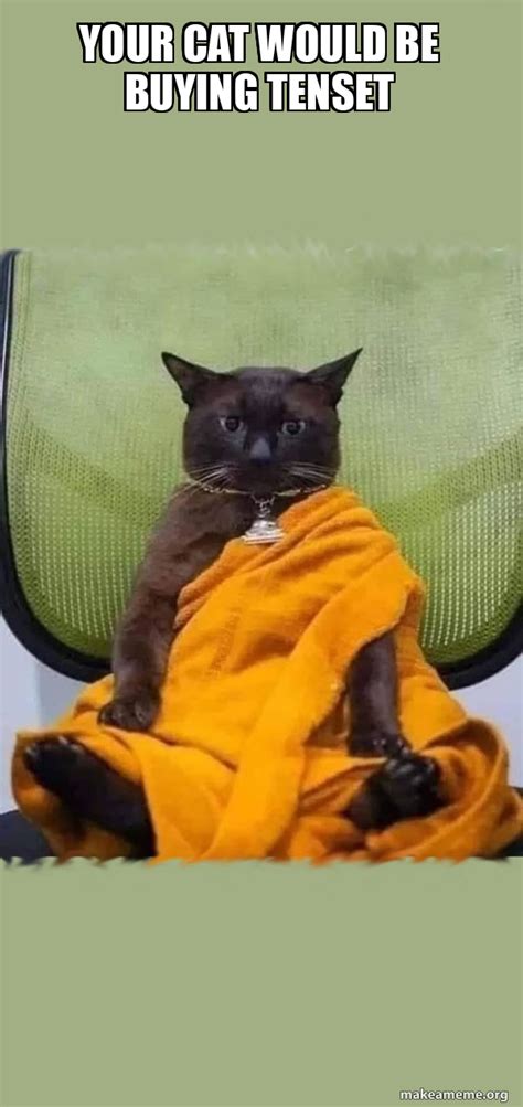 cat   buying tenset zen cat meme generator
