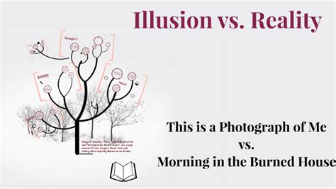 Illusion Vs Reality By Beth Hammond