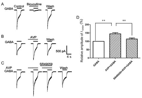 Modulatory Effects Of AVP On GABA Activated Currents In Rat DRG