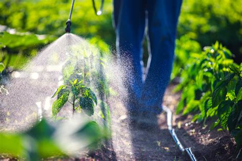 Alimenti News Residui Di Pesticidi Negli Alimenti