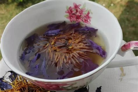 Blue Lotus Tea Recipe Best Tea Crafter