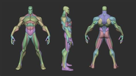 ArtStation Stylized Warrior Anatomy Blockout V2 Zbrush Anatomy