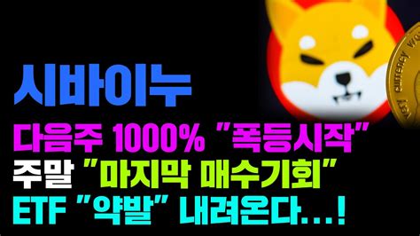 시바이누 긴급 1000짜리 Etf 돈벼락 내려오고 있다 전고점 돌파 본격 시작 코인시황 Youtube