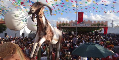 Começa hoje 3 a Festa do Bode Rei em Cabaceiras Oxente Paraíba