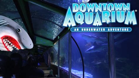 Pov Shark Voyage Train Ride At Downtown Aquarium Houston Youtube