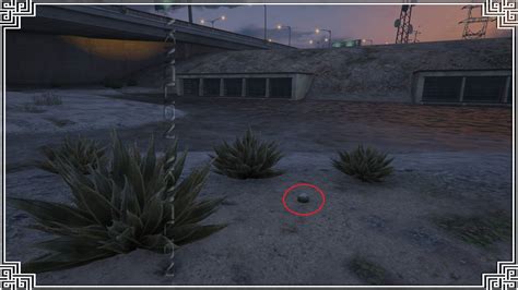 Gta All Peyote Locations Gta Online