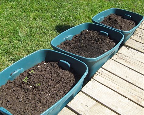 Container Vegetable Garden - Containers | Container Vegetable Garden Cyprus