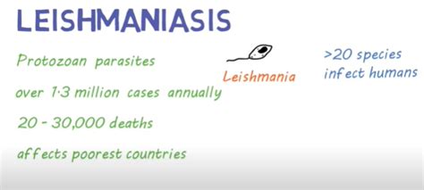 What is Leishmaniasis