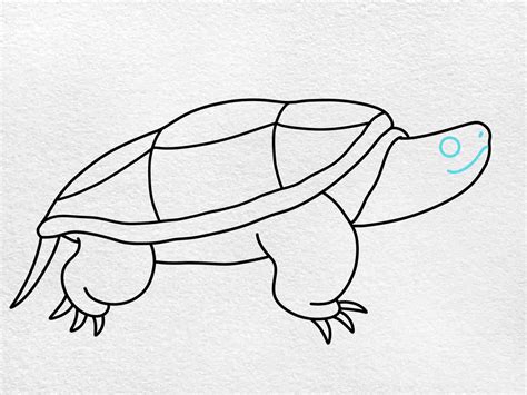 Snapping Turtle Drawing - HelloArtsy