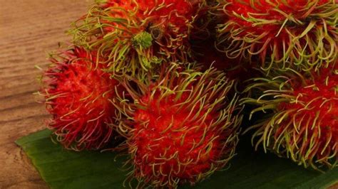 Khasiat Buah Rambutan Turunkan Gula Darah Penderita Diabetes Hingga