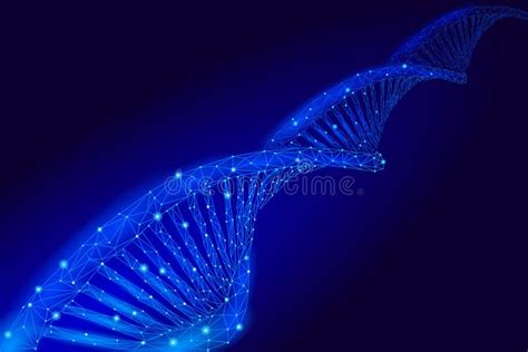 Struttura Chimica Della Molecola Del DNA 3D In Basso Poli Linea