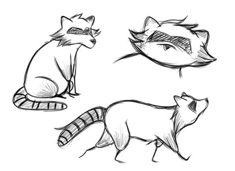 Raccoon Sketches by Triskata on DeviantArt