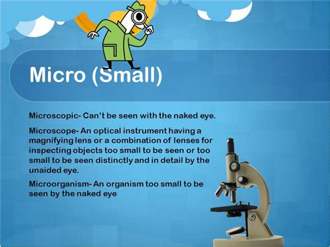 Stems List Created By Finley Melnikoff Micro Small Microscopic