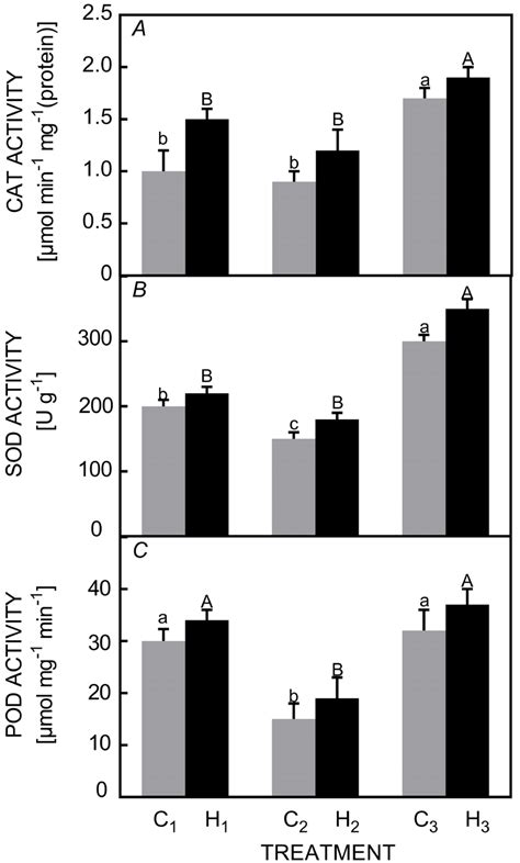 Changes Of Catalase Cat A Superoxide Dismutase Sod B And