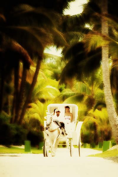 Paradisus Punta Cana Dominican Republic Destination Wedding