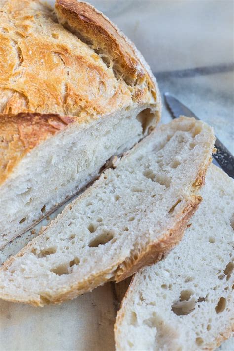 Artisan Bread In 5 Minutes A Day The Only Recipe You Need