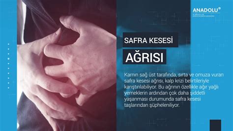 Safra Kesesi Taşı ve Tedavisi Nedir Pankreatit Nedir YouTube