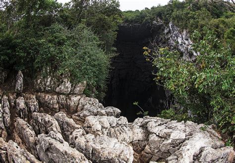 Sótano de las golondrinas - México Desconocido