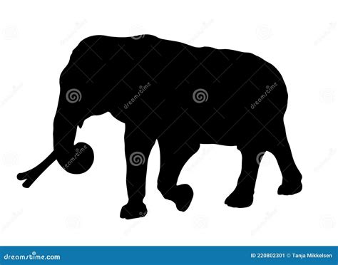 Elephant Silhouette stock vector. Illustration of wildlife - 220802301