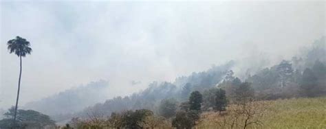 Incendio Arrasan Varias Hectáreas De Bosques En Jinotega Radio La Primerisima