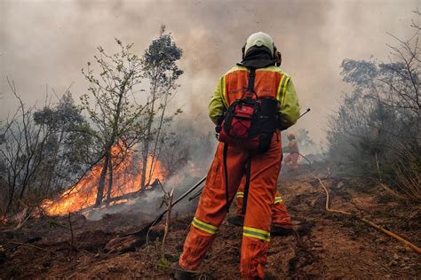 O Defensor do Pobo pide ás CCAA que reforcen a prevención de incendios