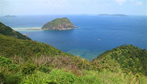 渡嘉敷島日帰り旅14＜林道を「アラン展望台」へ＞～渡嘉敷島15 Yukkys ワールドウォッチング