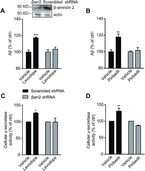 Levodopa Or Piribedil Mediated Increases Of Aβ Generation And