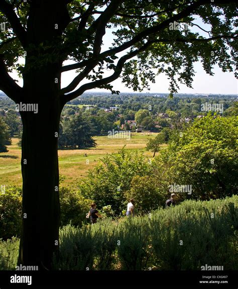 Richmond park king henry's mound hi-res stock photography and images ...