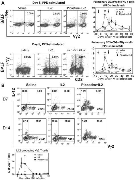 Picostim Il2 Expansion Of Vγ2vδ2 T Cells Led To Enhanced Pulmonary