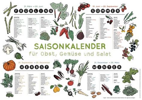 Saisonkalender für Obst Gemüse und Salat bücher de