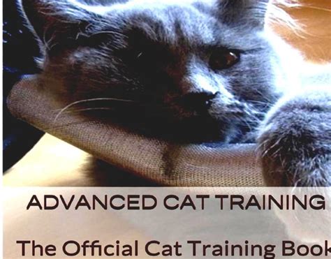 Cat Training - Cat Training Books