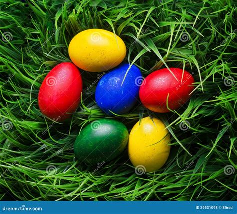 Easter Eggs On Green Grass Stock Photo Image Of Design 29531098