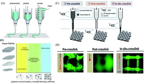 Synthetic Polymer Derived Single Network Inksbioinks For Extrusion